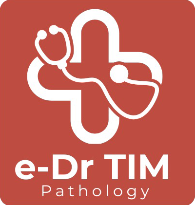 logo1